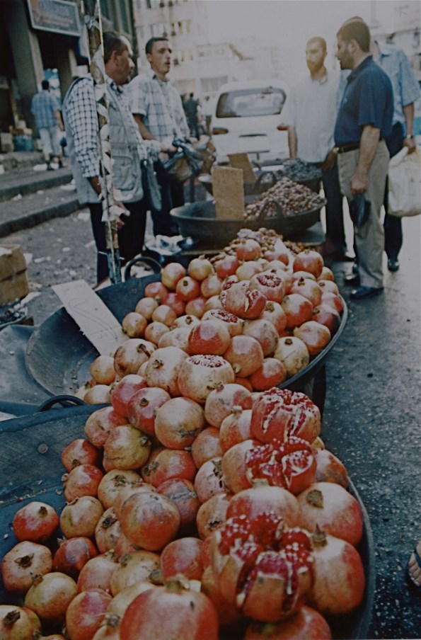 damasco05_melograno1