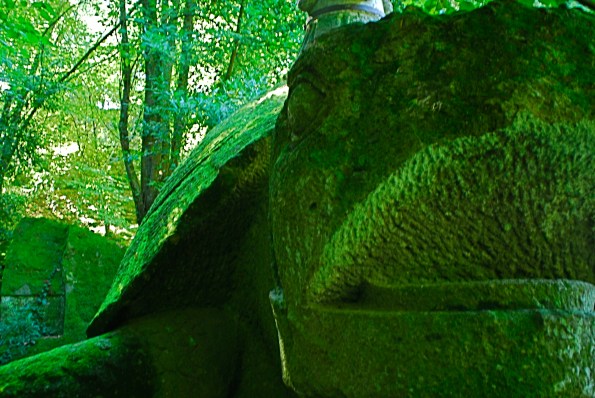 Foto di Valentina Perniciaro _Amica tartaruga_