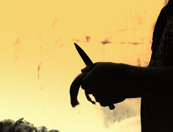 Foto di Valentina Perniciaro _Nel suq di Aleppo_