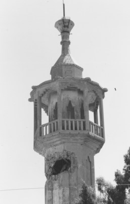 Foto di Valentina Perniciaro _Alture del Golan dopo il passaggio dell'Esercito israeliano