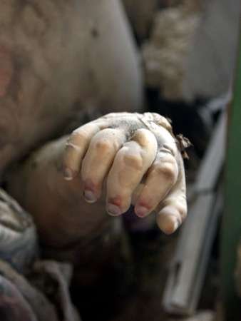 n1109926104_30305468_6650