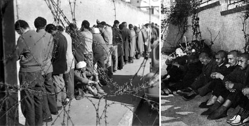 Arresti durante la battaglia d'Algeri