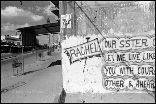 towell_gazaperrachel