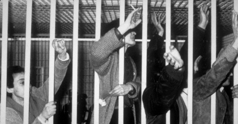 processibr1 processibr1