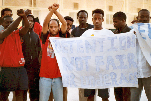 1355410533_eb65112b61