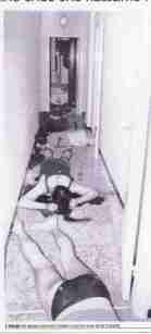 460_0___30_0_0_0_0_0_image3_v._fracchia 460_0___30_0_0_0_0_0_image3_v._fracchia