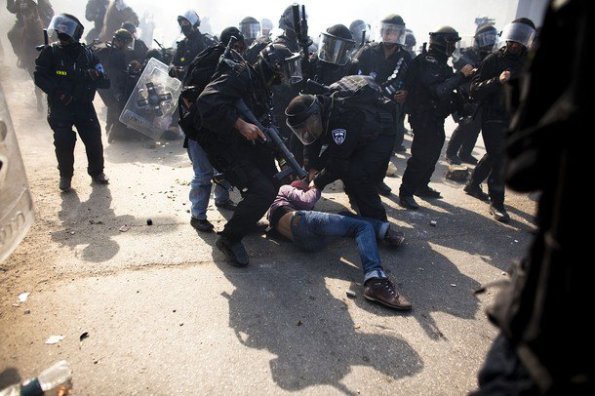 71775_445463182483_686182483_5849081_8015730_n