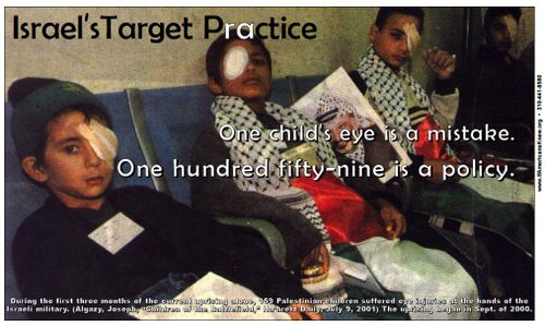 6a00d834522bcd69e201156e36f4a9970c-500wi