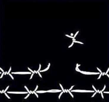 Bitch+I+m+Fabulous_a4ae8b_3413462