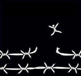 Bitch+I+m+Fabulous_a4ae8b_3413462