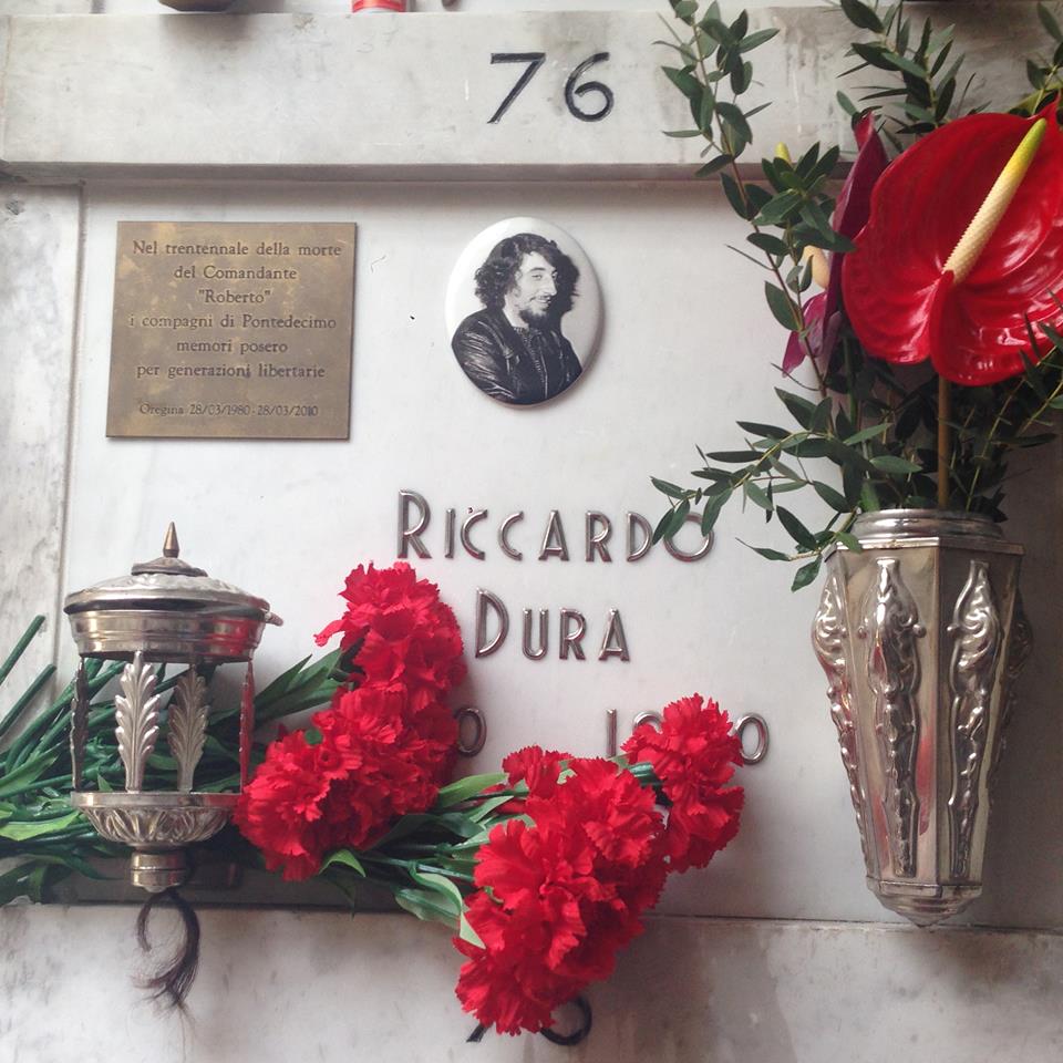 11146616_863831070373438_5944984602612390121_n